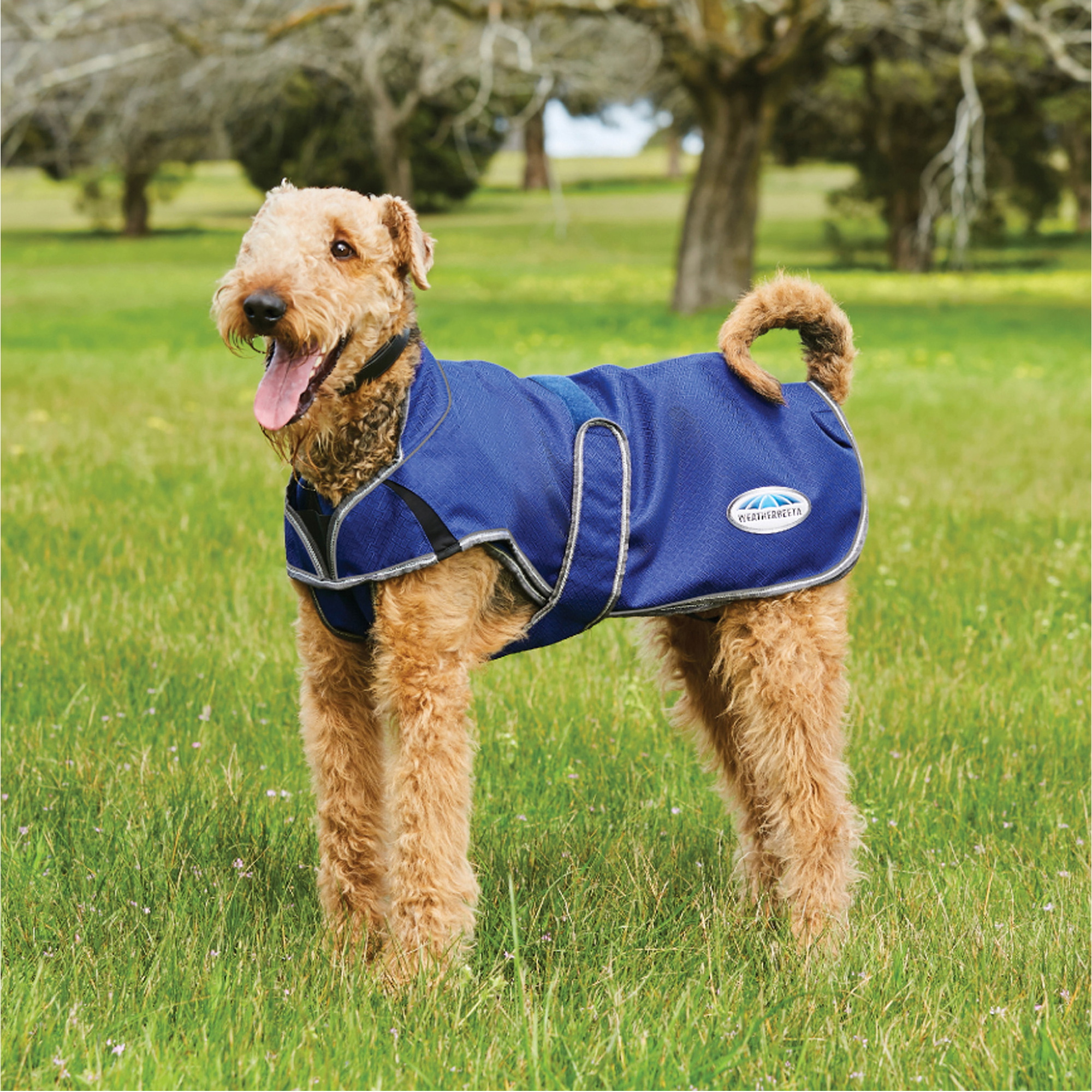 Weatherbeeta - Dog Comfitec Premier Free Parka Delux Dog Coat - Dark Blue